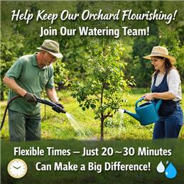 🌱 Volunteers Needed – Help Water Our Community Orchard! 🍎