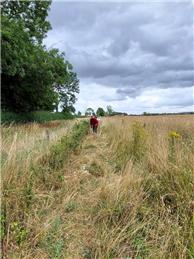 Volunteers in  Buckland Community Orchard